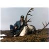Image 8 : 10-DAY GRIZZLY/CARIBOU HUNT