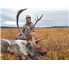 Image 9 : 10-DAY GRIZZLY/CARIBOU HUNT