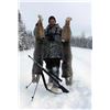 Image 2 : 7-DAY/NIGHT THERMAL WOLF AND PREDATOR HUNT IN ALASKA