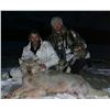 Image 3 : 7-DAY/NIGHT THERMAL WOLF AND PREDATOR HUNT IN ALASKA