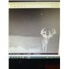 Image 2 : IOWA FIREARM DEER HUNT