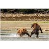 Image 4 : 6-DAY LUXURY YACHT BASED WILDLIFE VIEWING AND FISHING TRIP ON THE KATMAI FOR 12