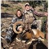 Image 1 : 4-DAY SPANISH IBERIAN MOUFLON HUNT