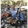 Image 2 : 4-DAY SPANISH IBERIAN MOUFLON HUNT
