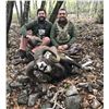 Image 4 : 4-DAY SPANISH IBERIAN MOUFLON HUNT