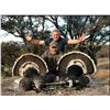 Image 2 : 3-DAY SONORA, MEXICO GOULDS TURKEY HUNT