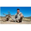 Image 5 : 4-DAY MEXICO COUES DEER HUNT
