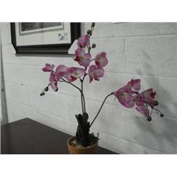 Pink Orchid Arrangement