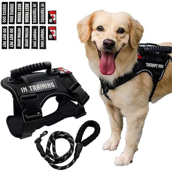 1 Service Dog Vest and Leash Set with 14 Patches - New - Size XL