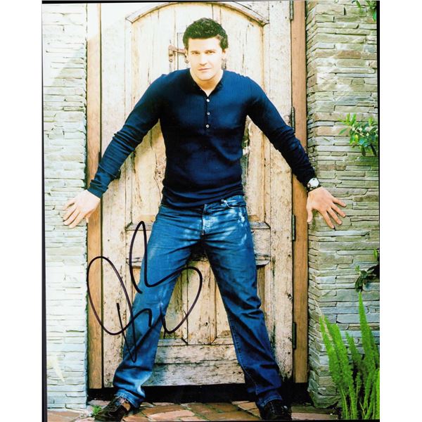 David Boreanaz signed photo