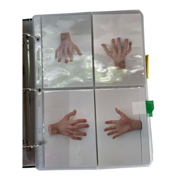 The New Addams Family (1998–1999) - Large Continuity Folder