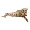 Image 1 : Tusk (2014) - Screen Used Hero Walrus Costume Appliance
