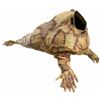 Image 2 : Tusk (2014) - Screen Used Hero Walrus Costume Appliance