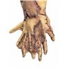Image 5 : Tusk (2014) - Screen Used Hero Walrus Costume Appliance