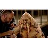 Image 9 : Tusk (2014) - Screen Used Hero Walrus Costume Appliance