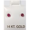 Image 1 : BZ1780-74 14K RUBY(0.22CT) EARRINGS