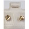 Image 1 : BZ1780-90 SILVER CITRINE(0.5CT) EARRINGS