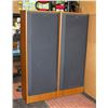 Image 1 : PAIR OF SONY TALL SPEAKERS