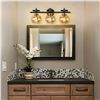 Image 3 : NEW WITH BOX MSTYKNOW BATHROOM VANITY 3 BULB LIGHT