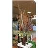 Image 1 : LARGE DECORATIVE PLANT DISPLAY