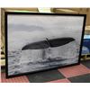 Image 1 : FRAMED WALL HANGING OF A WHALES TAIL 31" X 46.5"