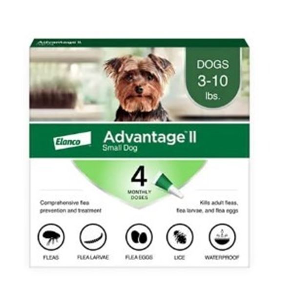 NEW ADVANTAGE II - 4 MONTHLY DOSES SMALL DOG LESS