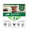 Image 1 : NEW ADVANTAGE II - 4 MONTHLY DOSES SMALL DOG LESS