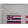 Image 2 : Hawaii & Tahiti Flags Watercolor Painting Circa 1800's, Framed 21" x 17"