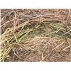 Image 3 : Alfalfa / Clover Round Hay Bales    Avg Wt 1466 lbs