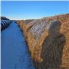 Image 1 : Grass Hay Bales   Avg Wt 1315 lbs  Pickseed Variety Please look at pictures for details
