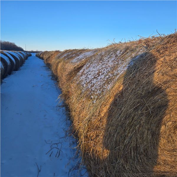 Grass Hay Bales   Avg Wt 1315 lbs  Pickseed Variety Please look at pictures for details