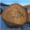 Image 5 : Grass Hay Bales   Avg Wt 1315 lbs  Pickseed Variety Please look at pictures for details