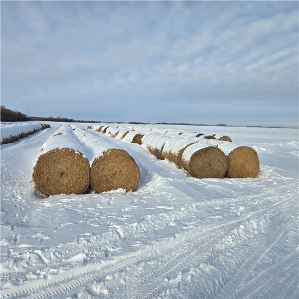 Alfalfa Round Hay Bales     Avg Wt 1118 lbs