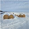 Image 1 : Alfalfa Round Hay Bales     Avg Wt 1112 lbs