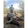 Image 2 : CHAPUNGU: 7-Day Buffalo Cow Hunt for Four Hunters and Four NH in S. Africa- Includes Trophy Fees