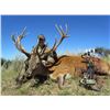 Image 2 : POITAHUE HUNTING: 5-Day Red Stag Hunt for Two Hunters in Argentina - Includes Trophy Fees
