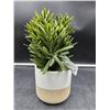 Image 1 : Bouclair Artificial Plant in Ceramic Pot