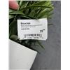 Image 2 : Bouclair Artificial Plant in Ceramic Pot