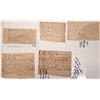 Image 1 : Wolf Scalp Authorization Letters (5) [187320]