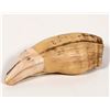 Image 2 : Black Bear Tooth Ursus Americanus [194211]