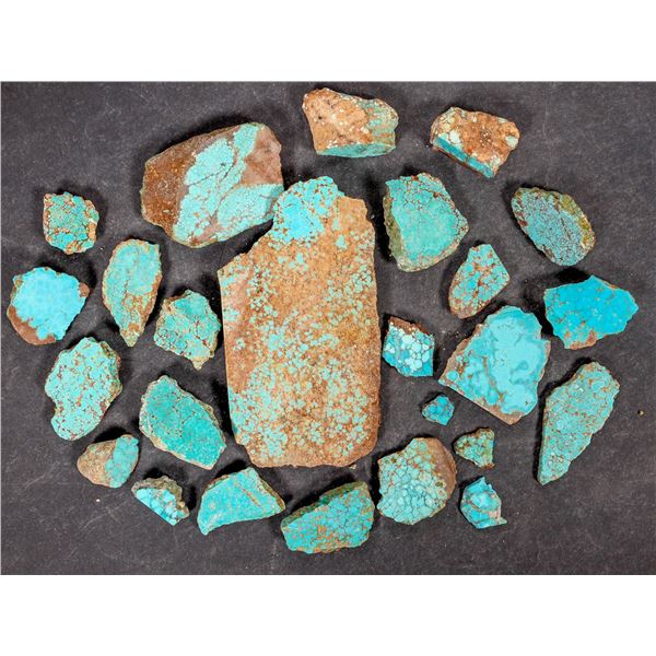 Cut Spiderweb Turquoise, No. 8 Mine of Nevada [194017]