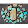 Image 1 : Cut Spiderweb Turquoise, No. 8 Mine of Nevada [194017]