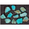 Image 1 : High Grade Spiderweb Turquoise, No. 8 Mine of Nevada [194034]