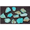 Image 2 : High Grade Spiderweb Turquoise, No. 8 Mine of Nevada [194034]