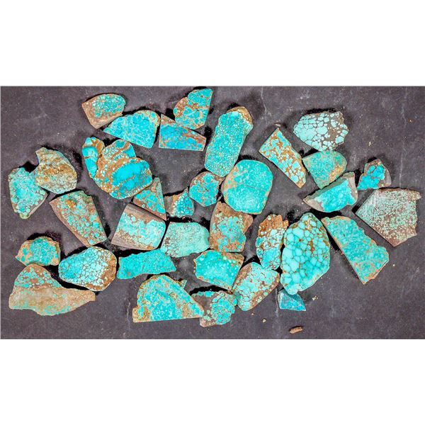 High Grade Spiderweb Turquoise, No. 8 Mine of Nevada [194035]