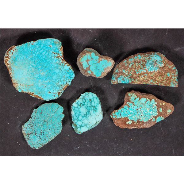 High Grade Spiderweb Turquoise, No. 8 Mine of Nevada [194036]