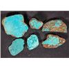 Image 1 : High Grade Spiderweb Turquoise, No. 8 Mine of Nevada [194036]