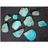 Image 1 : High Grade Spiderweb Turquoise, No. 8 Mine of Nevada [194038]