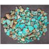 Image 1 : High Grade Turquoise, No. 8 Mine of Nevada [194018]