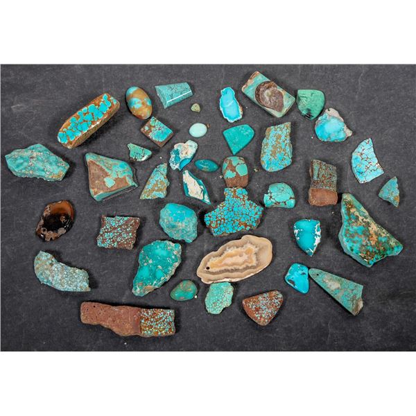 Polished Turquoise, No. 8 Mine of Nevada [194049]